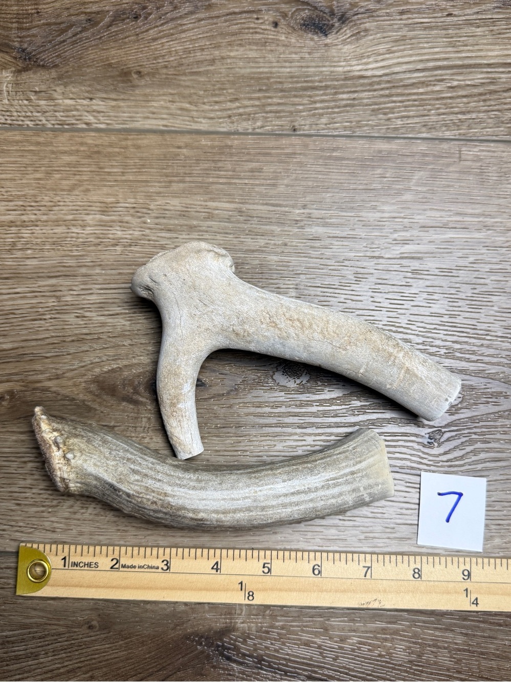 Natural Deer Antler Dog Chews – Mixed Sika, Fallow or Whitetail